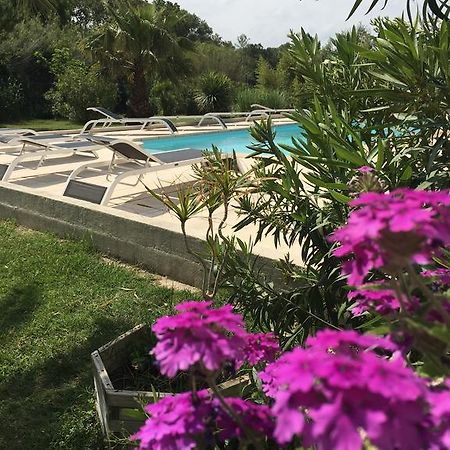 Appart'Hotel Et Chambres Essentiel Spa Αρλ Εξωτερικό φωτογραφία